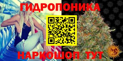 скорость Обнинск