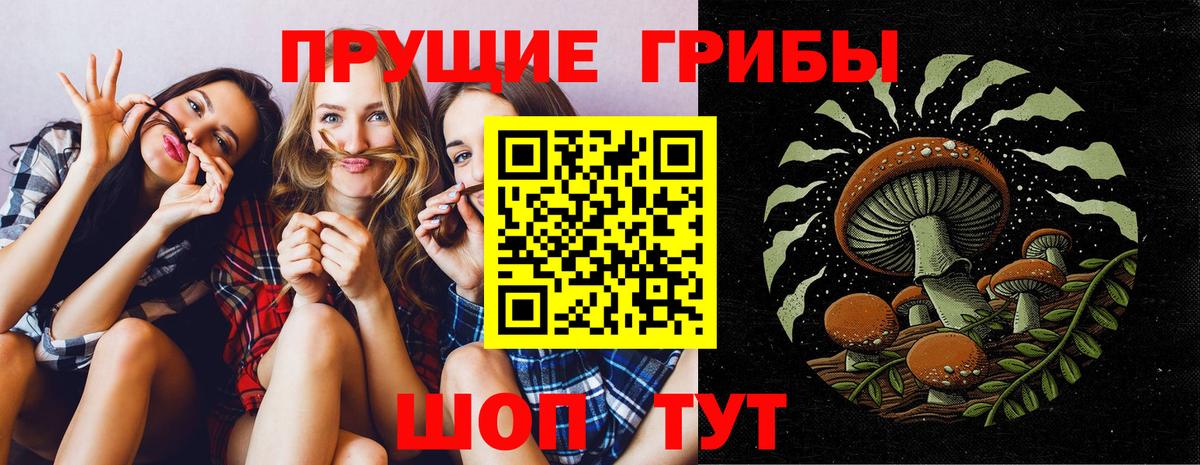 Псилоцибиновые грибы прущие грибы Старая Купавна